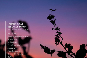 I Vini di WineNews - N. 278