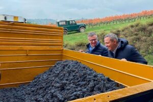 Per la prima volta, cioccolato e vino, cibo e bevanda degli Dei, si fondono con la fermentazione