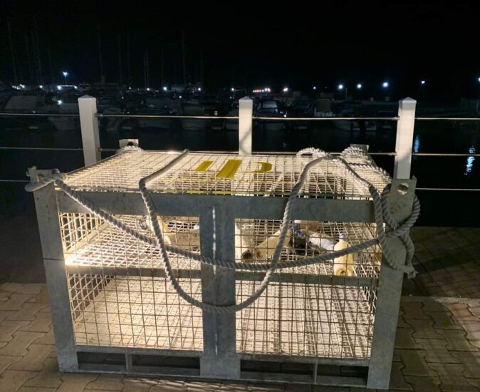 “LeProfondità”, ad oggi la più grande cantina subacquea italiana, di Termoli