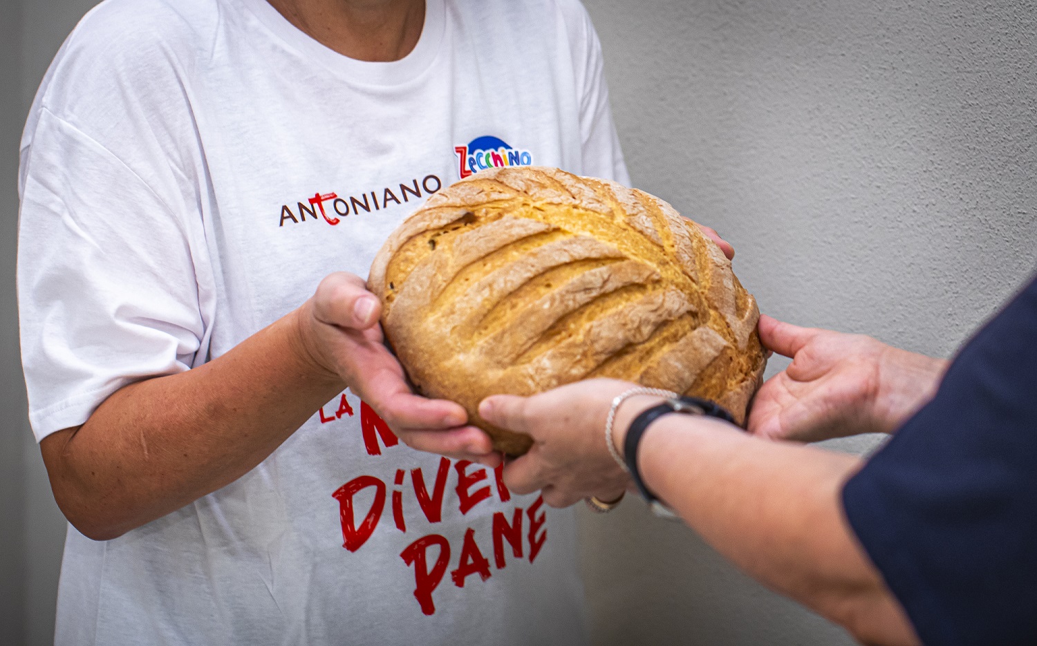 Giornata della Povertà, frati e volontari distribuiscono pane fresco in  strada - WineNews