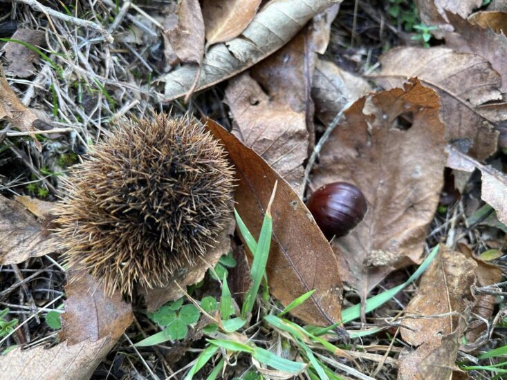 “Buy Food Toscana” 2023: al centro le eccellenze del territorio