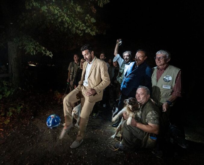 Credit: Lavezzo Studios