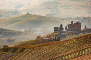 Imbottigliamento solo in zona, vigneti sui versanti a Nord: le proposte per Barolo e Barbaresco