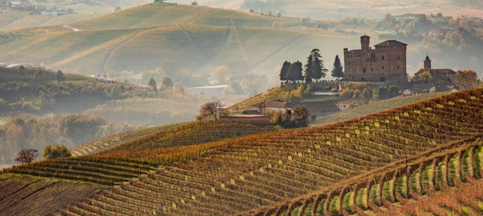 &ldquo;Barolo en Primeur&rdquo; n. 6: il 23 ottobre appuntamento con l&rsquo;asta charity pi&ugrave; importante d&rsquo;Italia