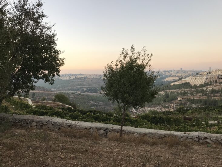 Il viaggio di WineNews a Cremisan, nel 2019