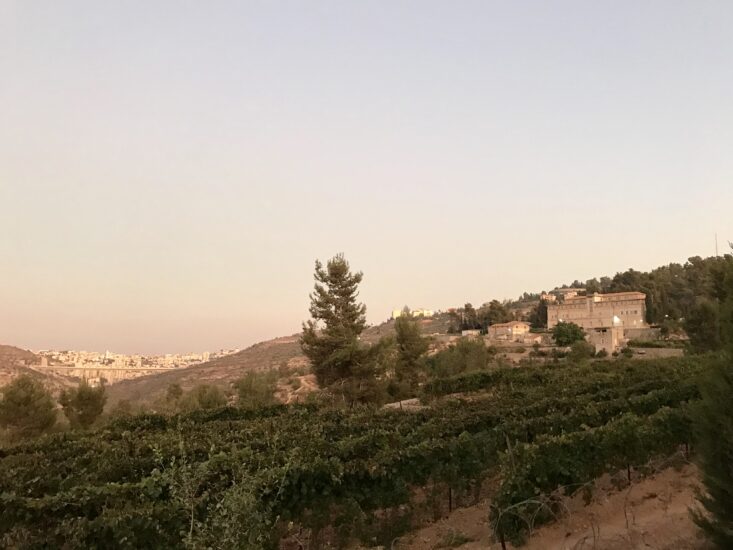 Il viaggio di WineNews a Cremisan, nel 2019