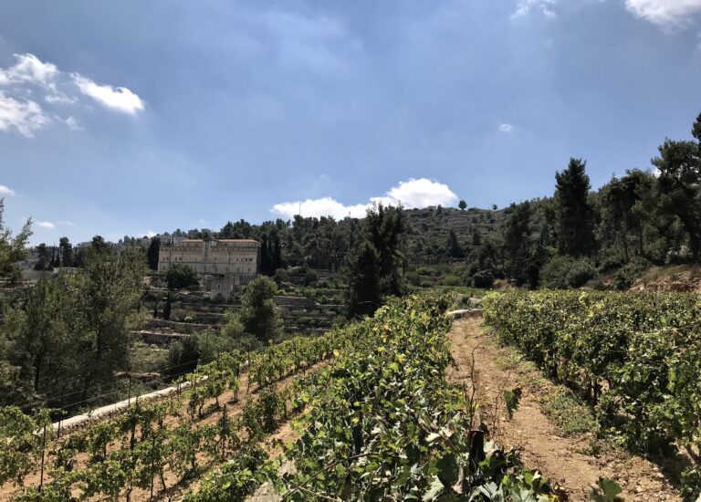 Il viaggio di WineNews a Cremisan, nel 2019