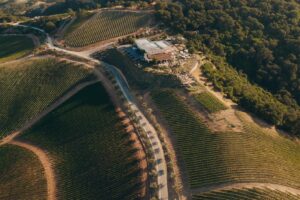 Investimenti monstre: Treasury Wine Estates paga 900 milioni di dollari per Daou Vineyards