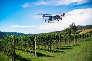 Uno studio francese afferma che chi vive vicino ai vigneti è più esposto ai prodotti fitosanitari Uno studio francese afferma che chi vive vicino ai vigneti è più esposto ai prodotti fitosanitari