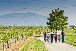 L&rsquo;innovazione al servizio della sostenibilit&agrave;: cos&igrave; il turismo nelle campagne pu&ograve; avere futuro