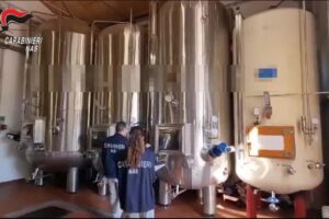 Vendemmia, i Nas intensificano i controlli: sequestri per 300.000 litri e 11 milioni di euro