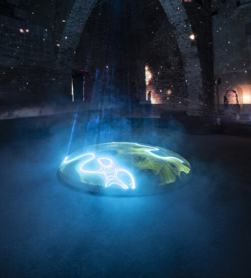 Alcune delle istallazioni artistiche commissionate da Pasqua Vini negli anni