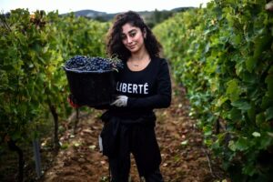 In Francia una vendemmia che racconta la resistenza iraniana contro il regime di Teheran