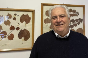 “L’irrigazione non è più uno strumento di forzatura della vite, va gestita meglio in disciplinare”