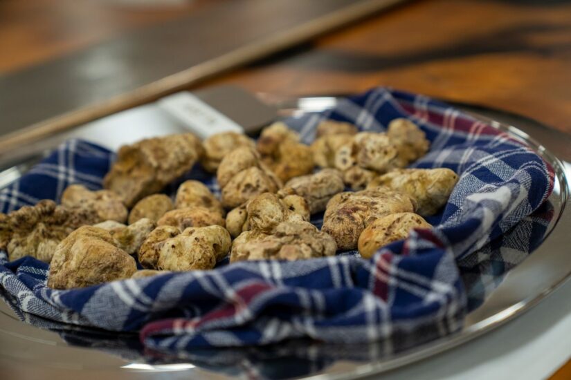 Credit: Consorzio Alta Langa Docg