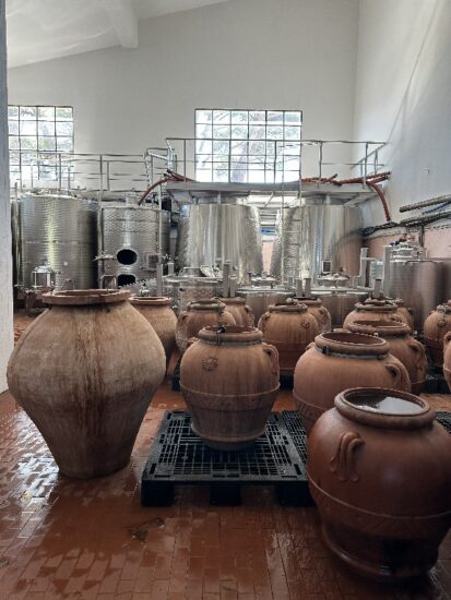 La tecnologia per recuperare gli aromi del vino a Fattoria di Petrognano