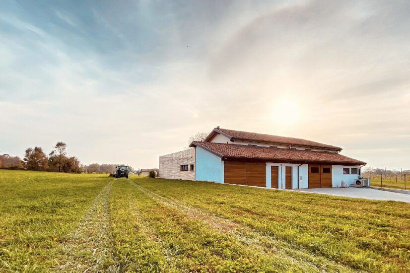 La nuova cantina vitivinicola dell’Azienda Agricola 366, nel Canavese, in provincia di Torino, affidata allo Studio DF+A
