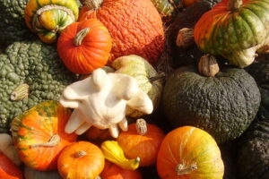 Tra zucche da intagliare, caramelle e party a tema, torna l&rsquo;appuntamento con la festa di Halloween&nbsp;