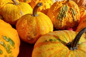 A Mantova, alla corte dei Gonzaga e della zucca, raffigurata nell&rsquo;arte di Andrea Mantegna