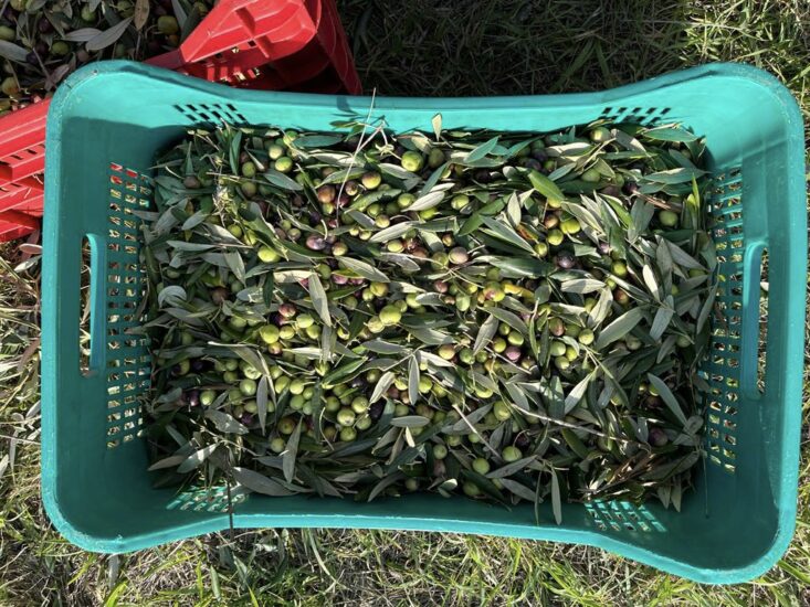 “Buy Food Toscana” 2023: al centro le eccellenze del territorio