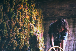 I Quaderni di WineNews - Il Soave