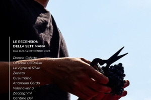 I Vini di WineNews - N. 279