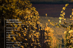 I Vini di WineNews - N. 281