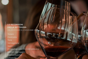 I Vini di WineNews - N. 282