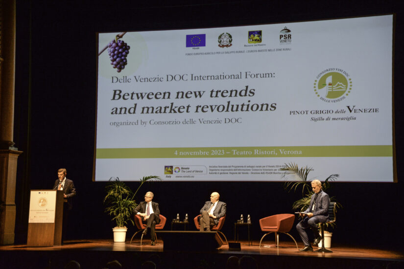 Pinot Grigio delle Venezie, dal successo al futuro