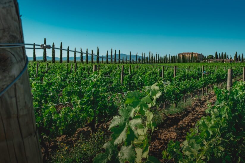 Argiano, una delle più belle tenute di Montalcino