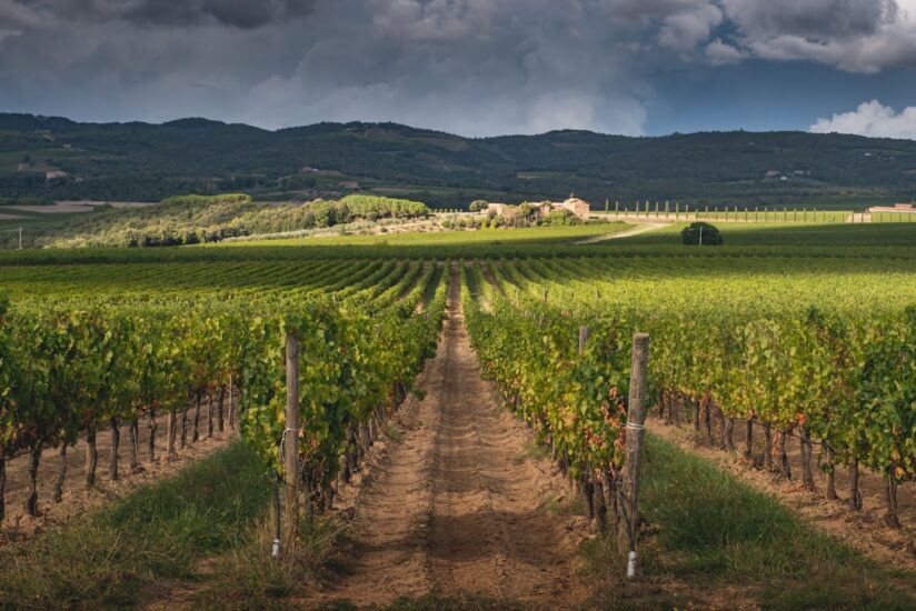 Argiano, una delle più belle tenute di Montalcino