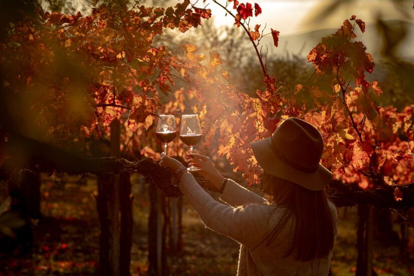 Un autunno di eventi con il vino italiano (ph: la Strada del Sagrantino)