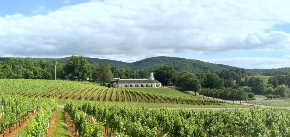 Barboursville di Zonin1821, in Virginia