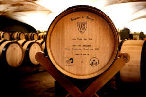 Hospices de Beaune, 25,5 milioni di euro raccolti con l’asta delle botti di Borgogna 2023