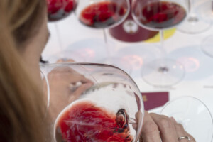 Brunello di Montalcino: consumi in Usa (+10%), giù gli imbottigliamenti (-6%), ma vino quasi finito