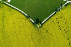 Ue, legge a tutela natura: entro 2030 vanno ripristinate il 20% delle aree degradate, anche agricole