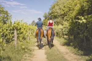 Divertimento, sport, ippica, allevamento e diporto: la filiera equina italiana va rilanciata&nbsp;