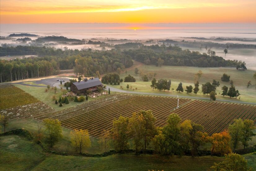 La “Wine Region dell’Anno” è americana, ma parla italiano