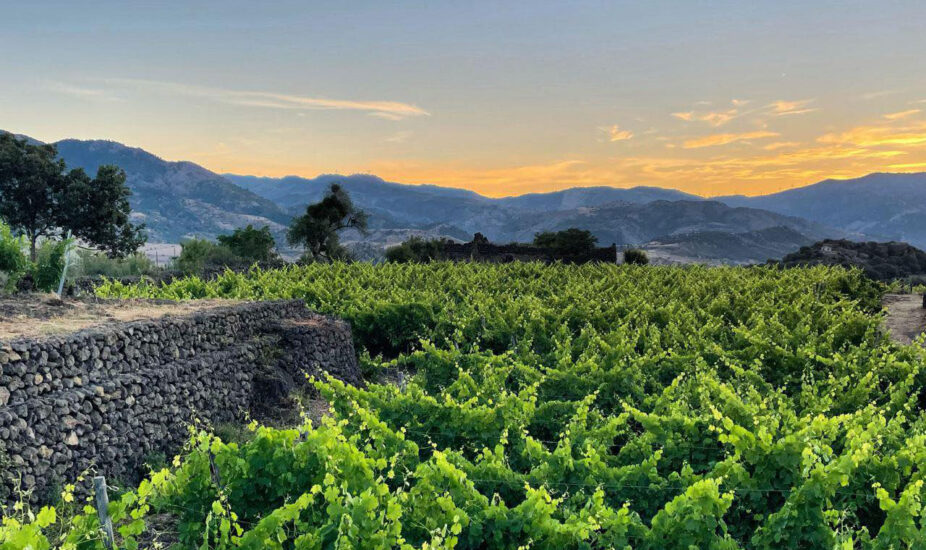 “Incontri Rotaliani”, al centro Etna e Piana Rotaliana