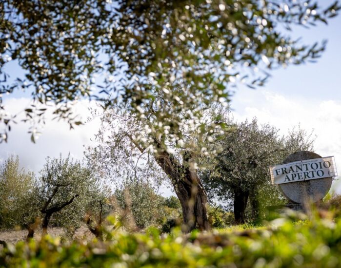 I “Frantoi Aperti in Umbria”, evento simbolo dell’oleoturismo in Italia