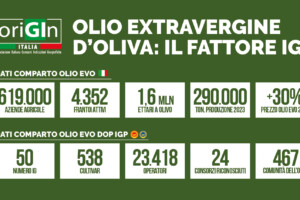 Il Ministro dell&rsquo;Agricoltura, Lollobrigida &ldquo;l&rsquo;olio evo italiano ha le stesse potenzialit&agrave; del vino&rdquo;