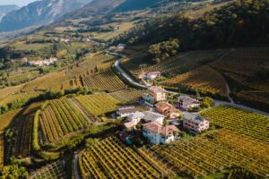 La Piana Rotaliana ed il Teroldego a confronto con l’Etna: territori diversi che pensano al futuro