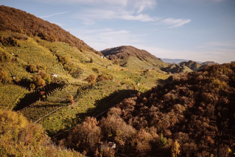 Foliage nelle Rive del Conegliano Valdobbiadene Prosecco Docg (ph: Andreola)
