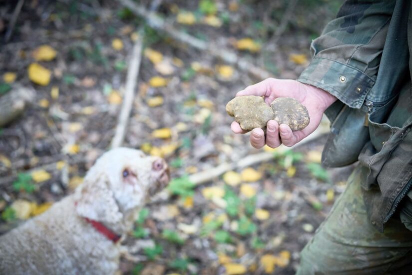 Credit: Gabriele Forti