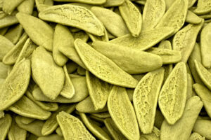 Terre e Tradizioni, Pasta Foglie d'Ulivo