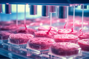 No alla carne sintetica: tra risse e tutti contro tutti, via libera al decreto “Lollobrigida”