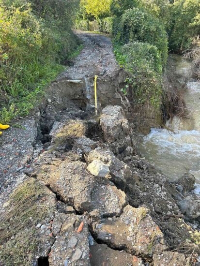 Danni del meteo, la testimonianza della millenaria cantina Capezzana