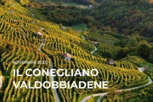I Quaderni di WineNews - Il Conegliano Valdobbiadene