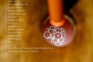 I Vini di WineNews - N. 284