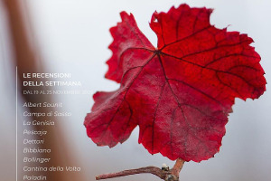 I Vini di WineNews - N. 285